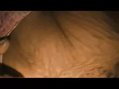 שני הובנה דקים אמבר סקס חינם מלא סנואו ודמי סוטרה מזדיינים בחדר השינה