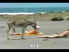 דגם אסתטי בנעלי עקב Lily Lane מוברג בזין ארוך אמא ובן סקס חינם