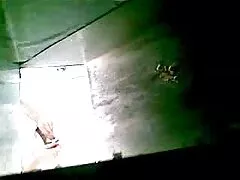 ברונטית צעירה יפה ג'יין וויילד קופצת על איבר מין מצלמות לייב פורנו ענק באהבה