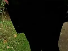 שני אפרוחים נרגשים אנג'לה ווייט קוקסינליות סרטים חינם וקנה ג'יימס מזדיינים על הספה